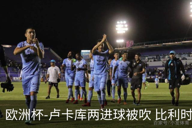 欧洲杯-卢卡库两进球被吹 比利时0-1斯洛伐克