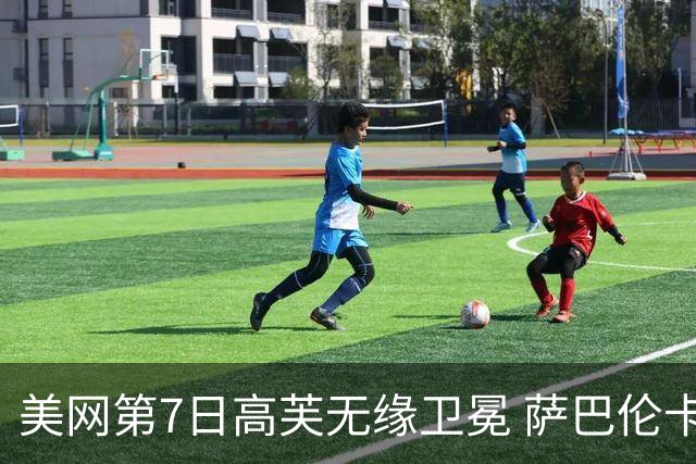 美网第7日高芙无缘卫冕 萨巴伦卡连续4年进八强